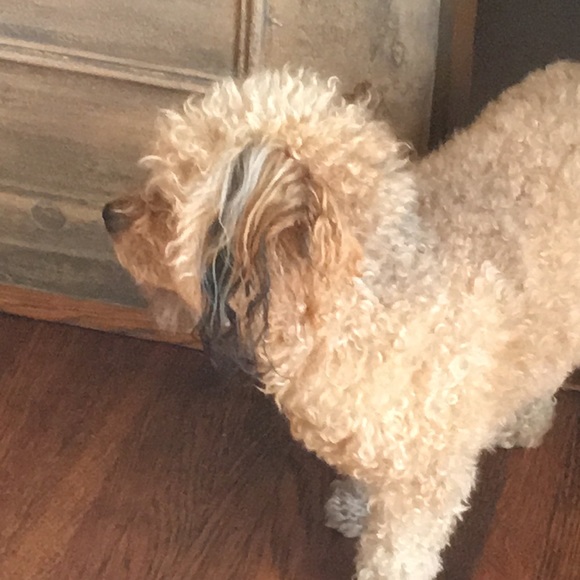 Meet your Posher, Michael - Picture 1 of 1